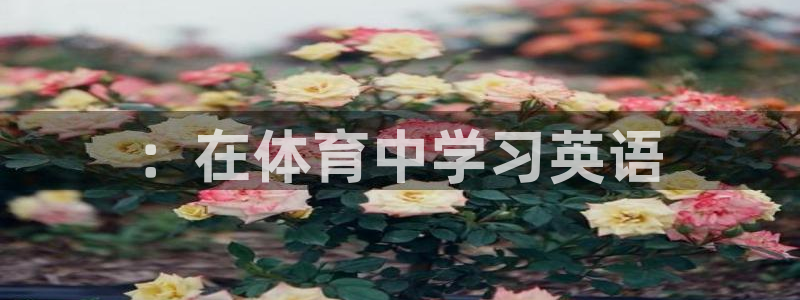 vsport体育