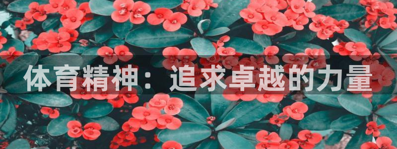 vsport体育在线官网