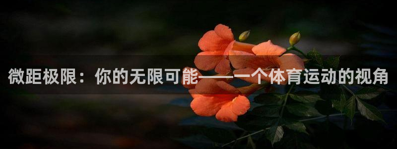vsport体育在线官网