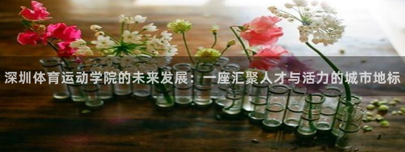 vsport体育在线官网