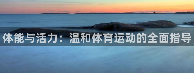 vsport体育：体能与活力：温和体育运动的全面指导
