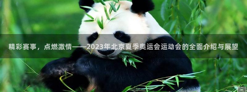vsport体育：精彩赛事，点燃激情——2023年北京夏季奥运会运动会的全面介绍与展望