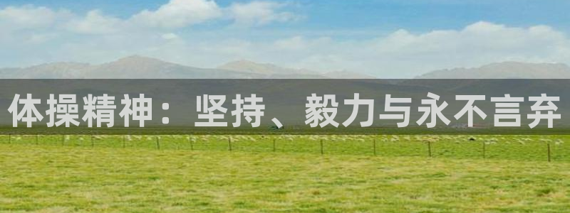 vsport体育在线官网：体操精神：坚持、毅力与永不言弃
