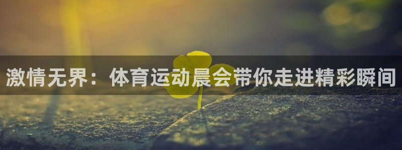 vsport体育在线官网