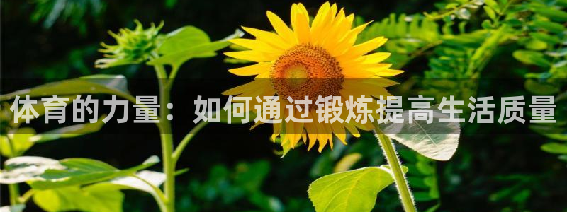 vsport体育在线官网