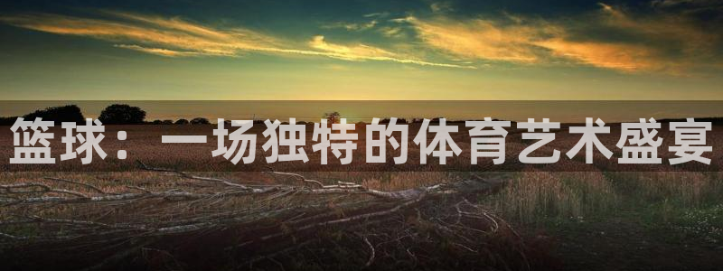 vsport体育在线官网