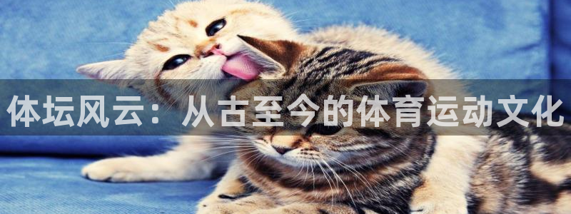 vsport体育：体坛风云：从古至今的体育运动文化
