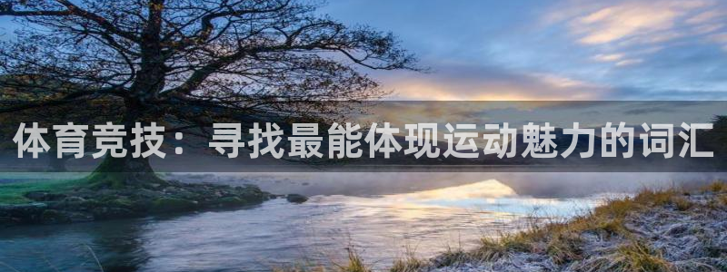 vsport体育在线官网