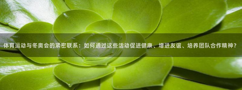 vsport体育：体育运动与冬奥会的紧密联系：如何通过这些活动促进健康、增进友谊、培养团队合作精神？